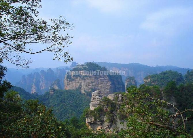 Yaozizhai Scenic Area Zhangjiajie