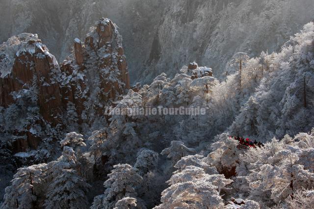 Yellow Mountain Landscape Huangshan