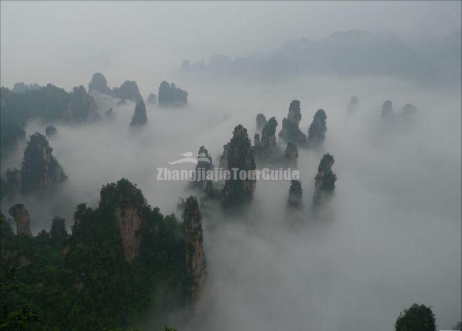 Yuanjiajie Scenic Area