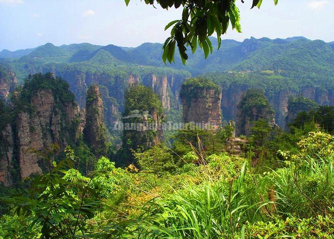 Yuanjiajie Scenic Area