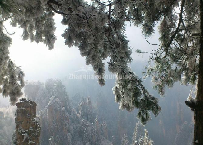 Zhangjiajie National Forest Park Winter Trip