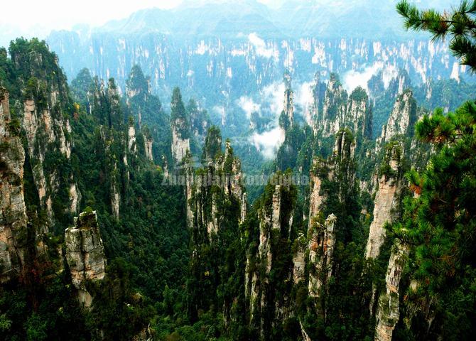 Zhangjiajie National Forest Park Scenery