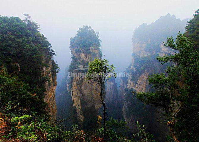 Avatar Mountains